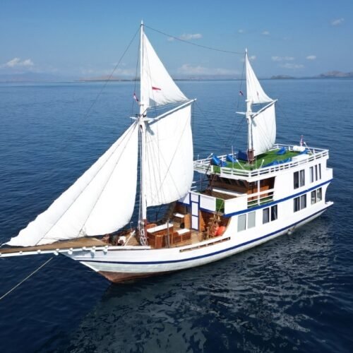 Komodo-Sharing-Tour